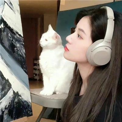 阴阳画皮